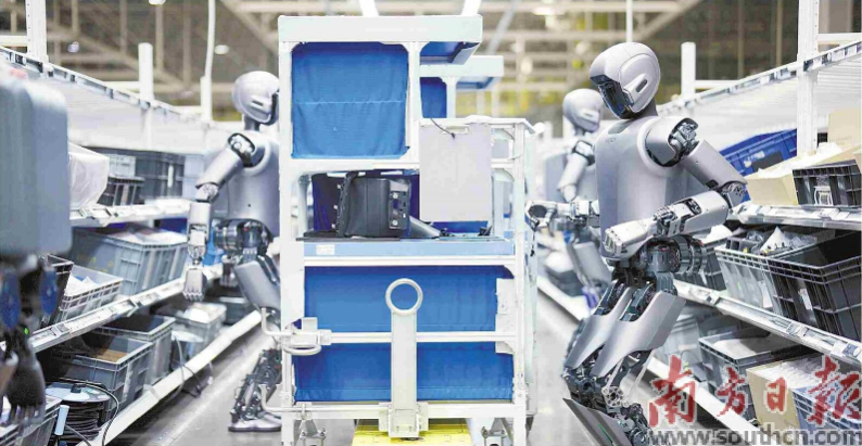 優(yōu)必選工業(yè)人形機器人在工廠開展協(xié)同實訓。 南方日報記者 朱洪波 通訊員 羅艷 攝